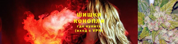 каннабис Белокуриха