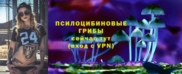 ALPHA PVP Беломорск