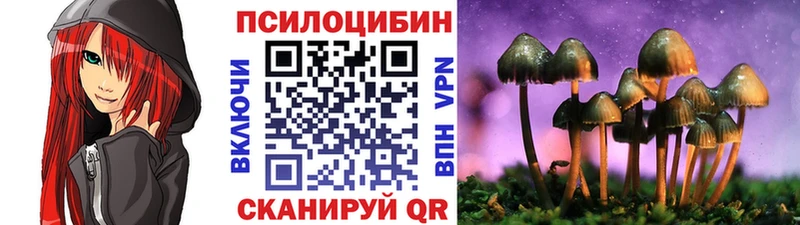 Псилоцибиновые грибы мицелий  Мглин 
