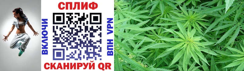 где найти наркотики  Мглин  Конопля VHQ 